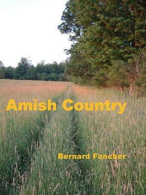 cover image of Amish Country